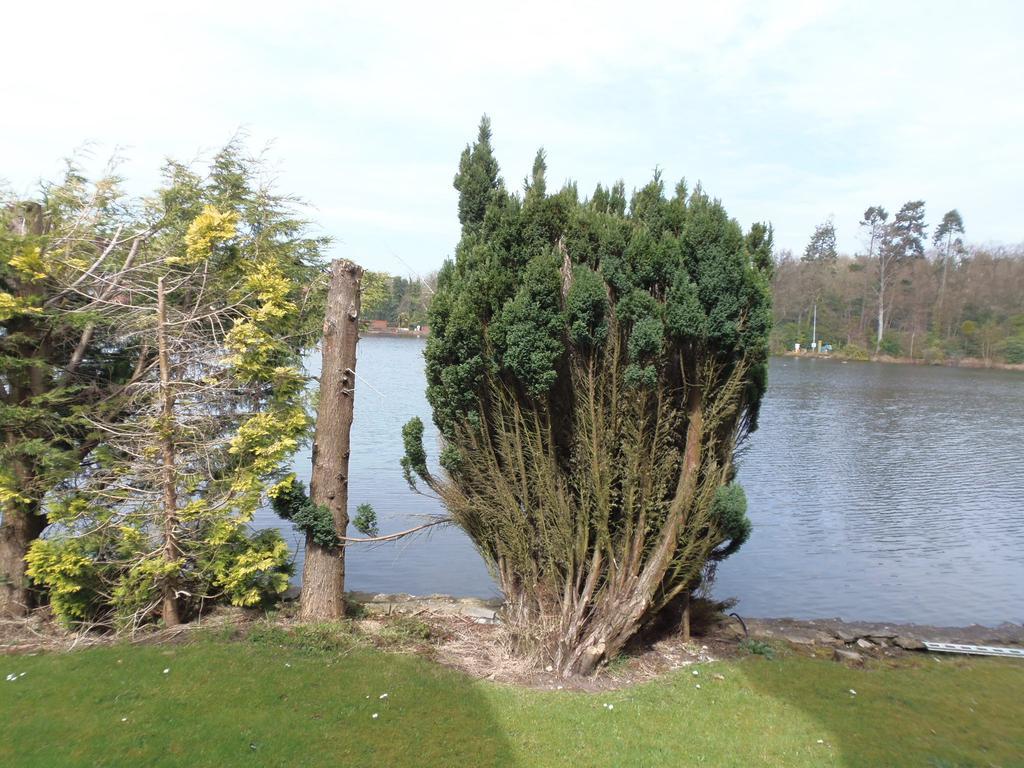 Lakeside Continental Hotel Camberley Dış mekan fotoğraf